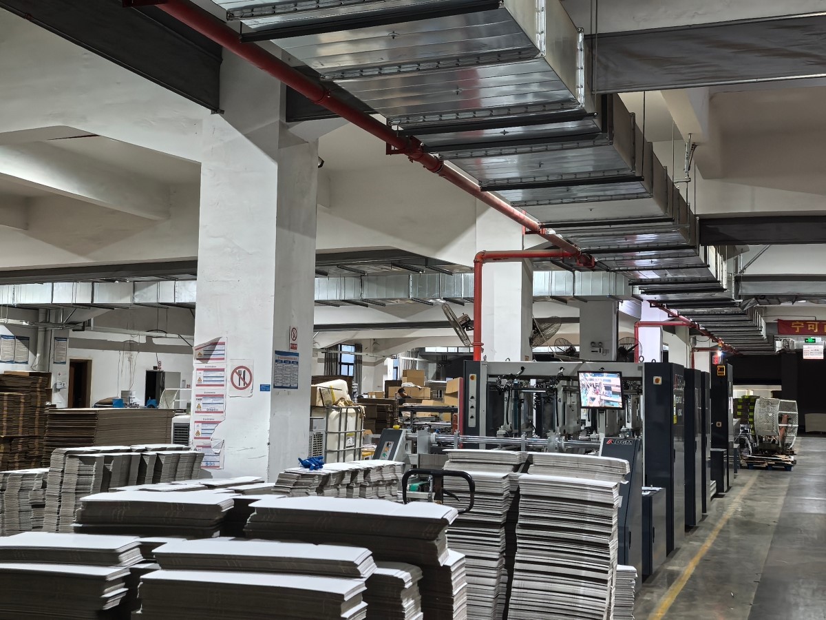 IMG20251117165633 IMG20251117165633